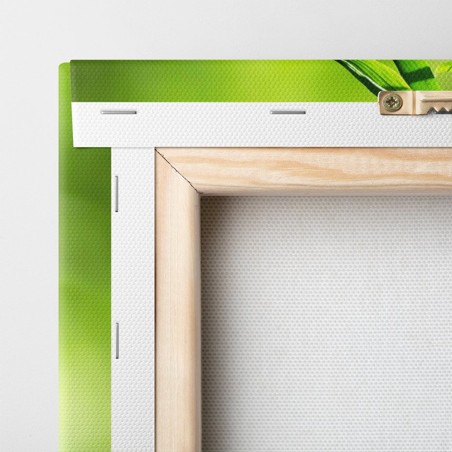 Obraz na płótnie - kwiaty, orchidee, kamienie