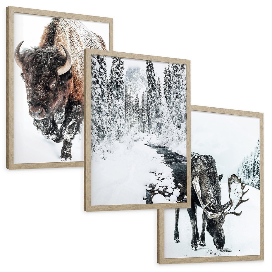 Zestaw obrazy w ramie, plakaty - bizon, łoś, zima - rama drewno