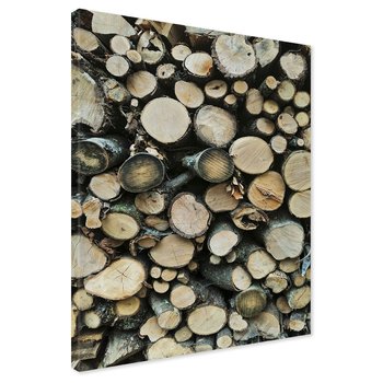 Obraz na płótnie - drewno, pnie, kora