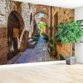 Fototapeta - uliczka, kamień, kwiaty