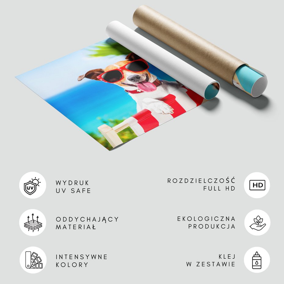 Fototapeta - pies, plaża, wakacje