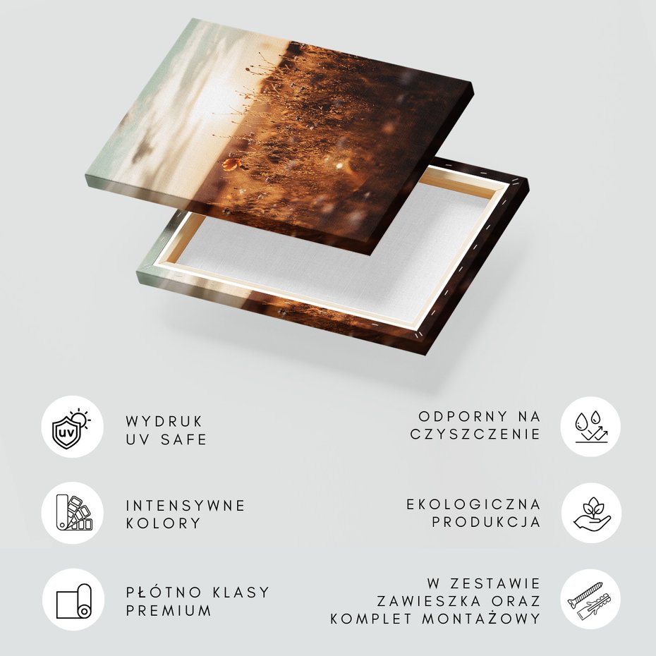 Obraz na płótnie - łąka, kwiaty, zachód słońca