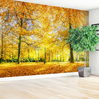 Fototapeta - jesień, liście, drzewa