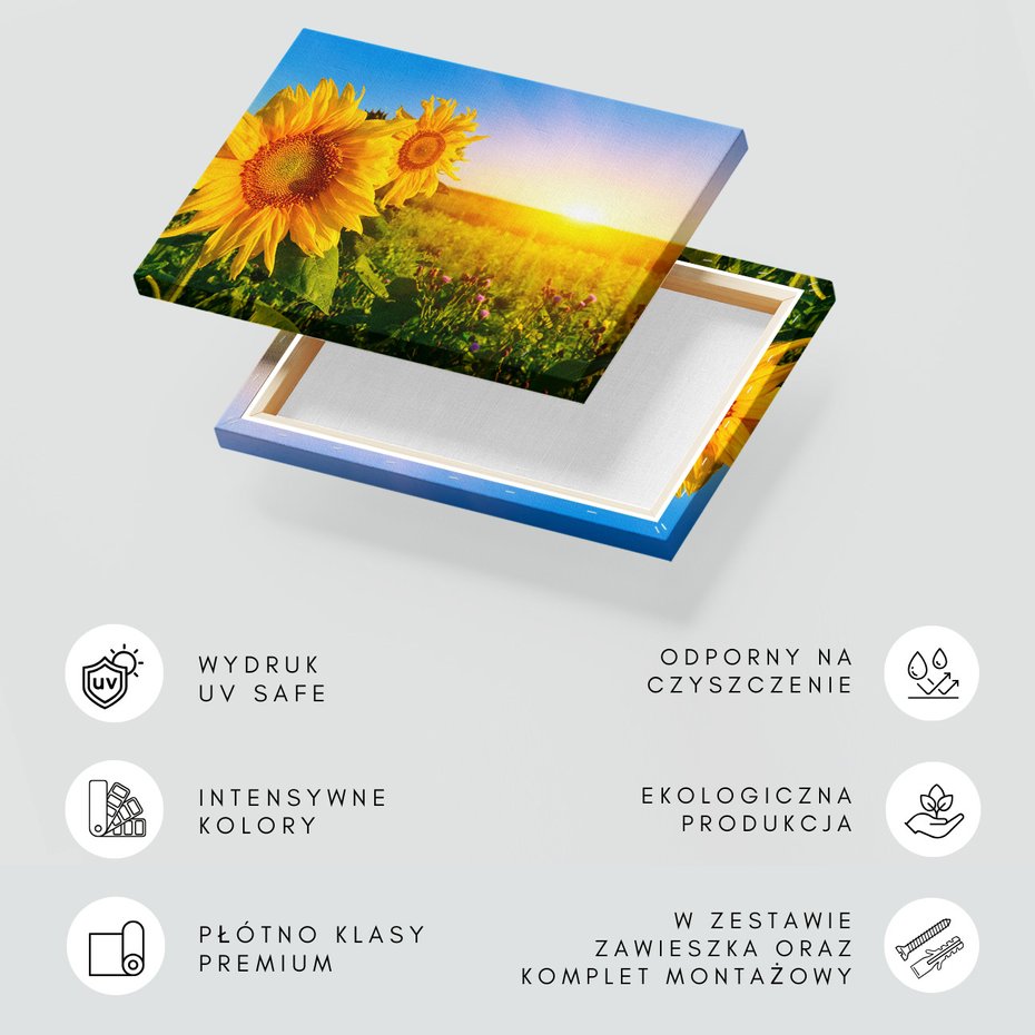 Obraz na płótnie - słoneczniki, kwiaty, lato