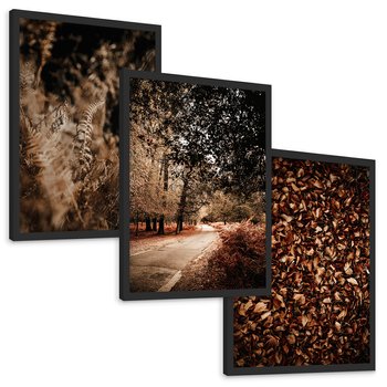 Zestaw obrazy w ramie, plakaty - jesień, liście, natura - rama czarna