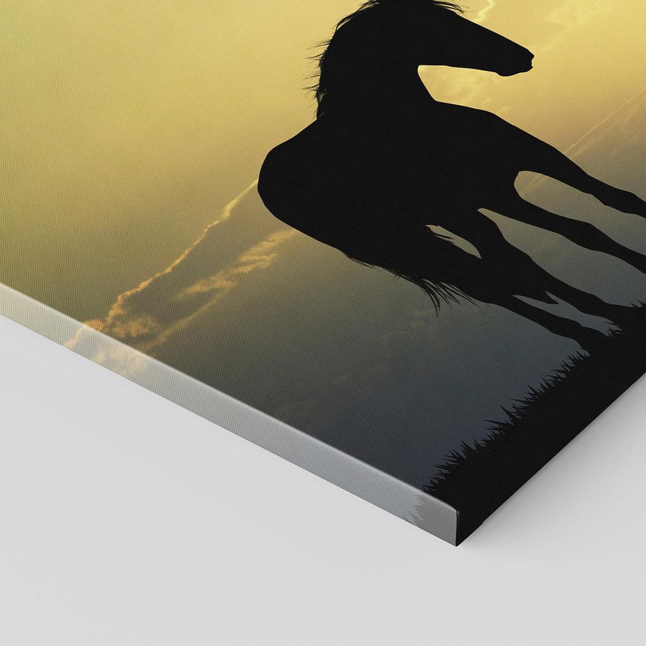 Obraz na płótnie - koń, zachód słońca, ptaki