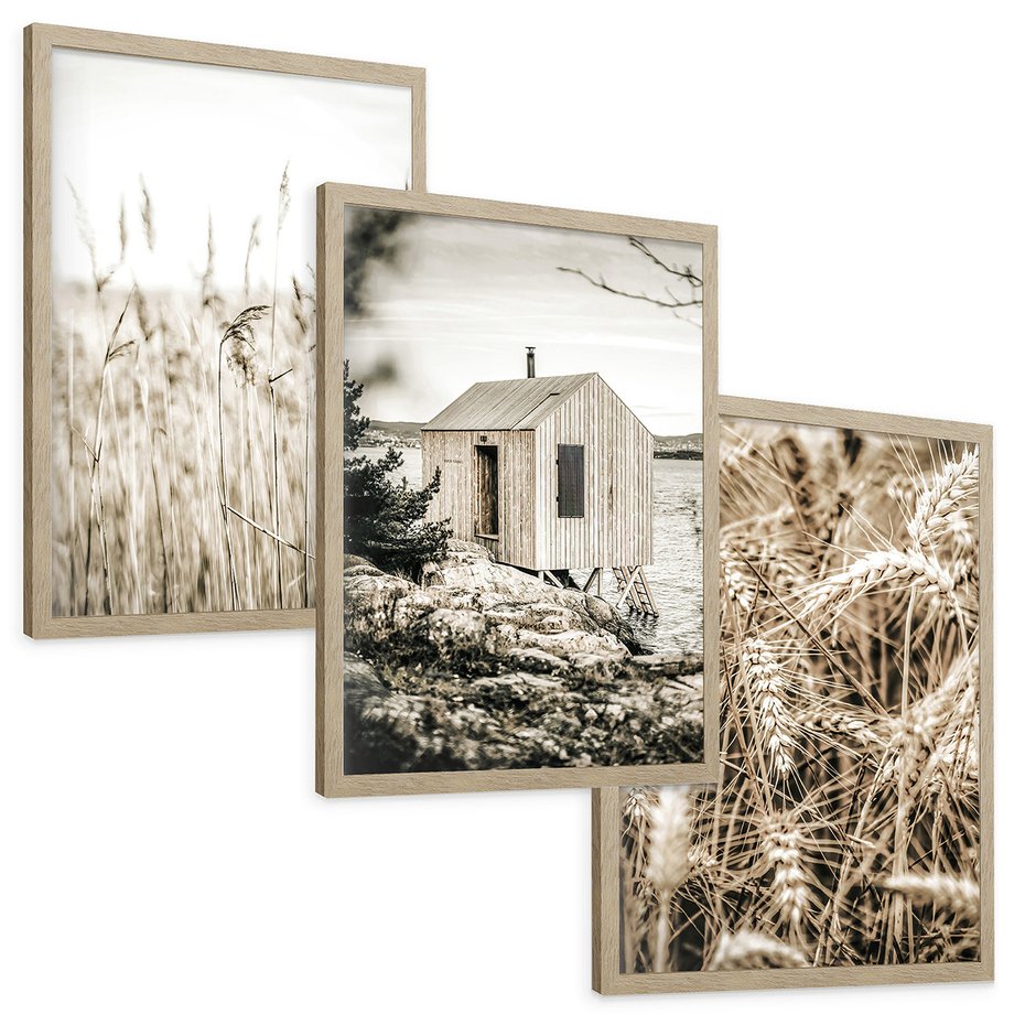Zestaw obrazy w ramie, plakaty - natura, dom, rośliny - rama drewno