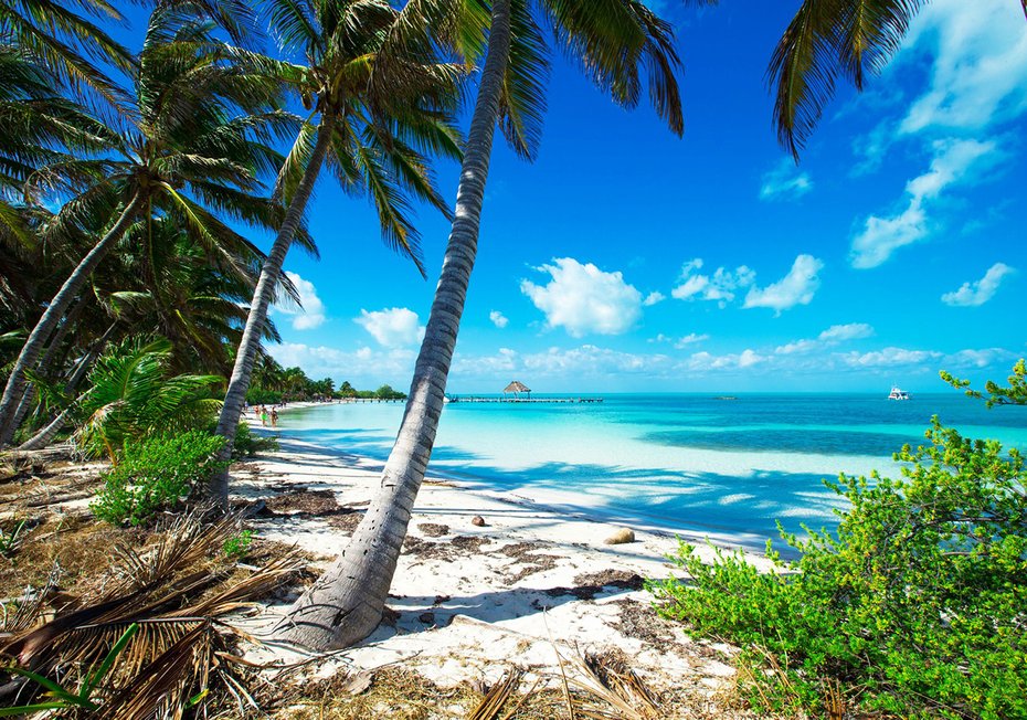 Fototapeta - plaża, palmy, morze