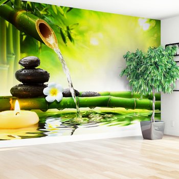 Fototapeta - bambus, woda, kamienie