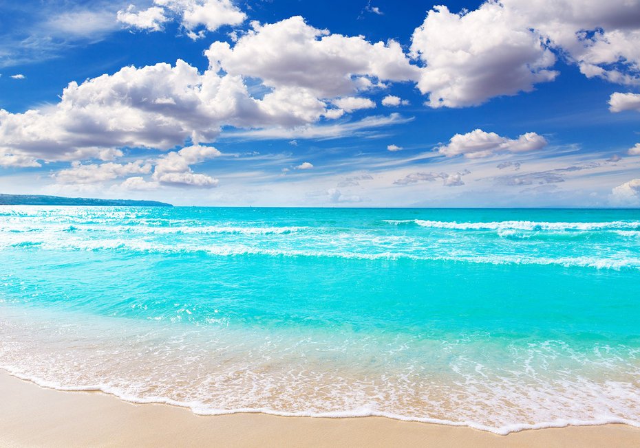 Fototapeta - plaża, morze, niebo