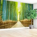 Fototapeta - bambus, las, ścieżka