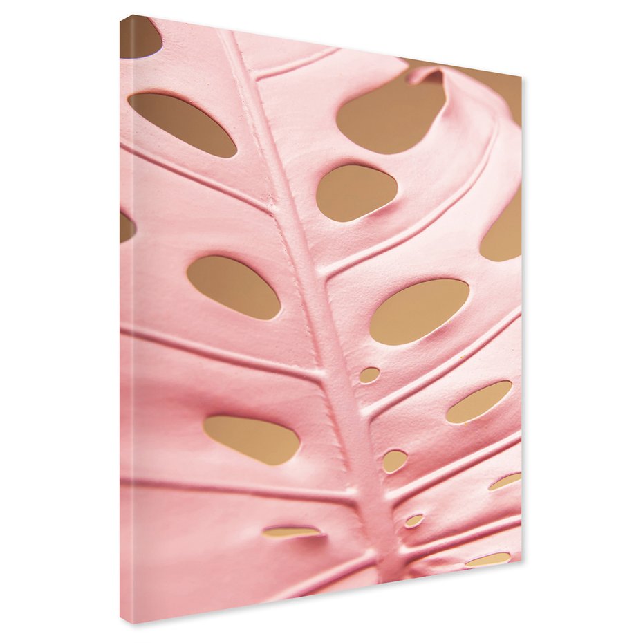 Obraz na płótnie - liść, różowy, monstera