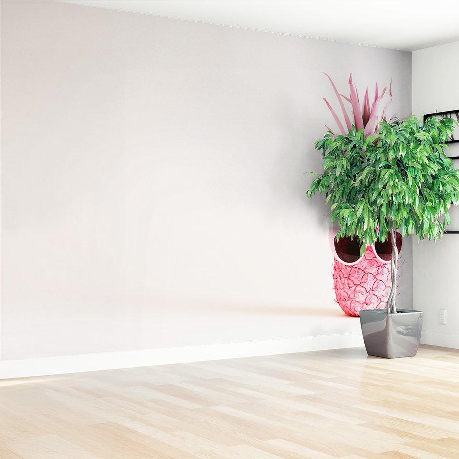 Fototapeta - ananas, różowy, okulary