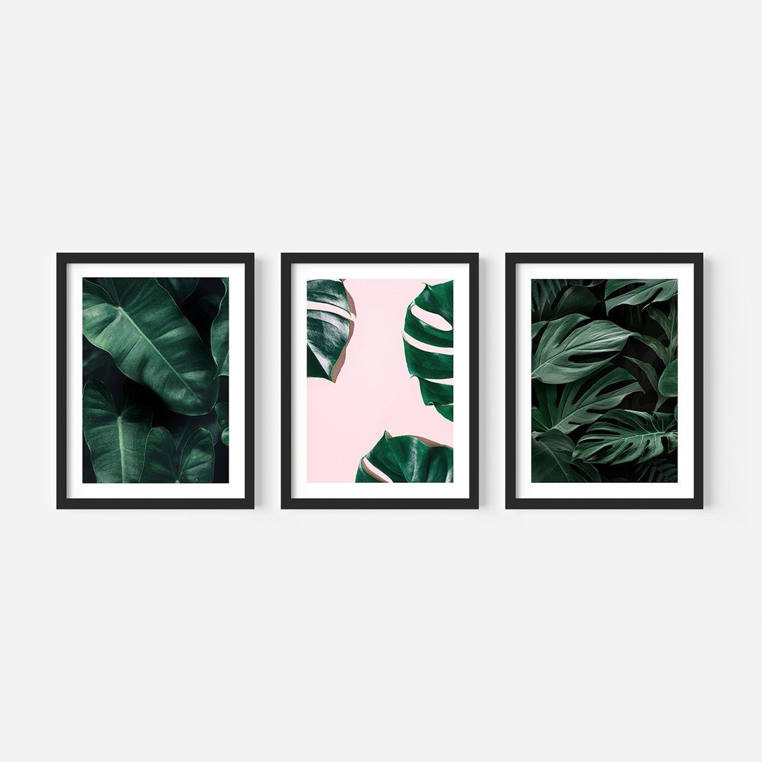 Zestaw obrazy w ramie, plakaty - liście, monstera, rośliny - rama czarna