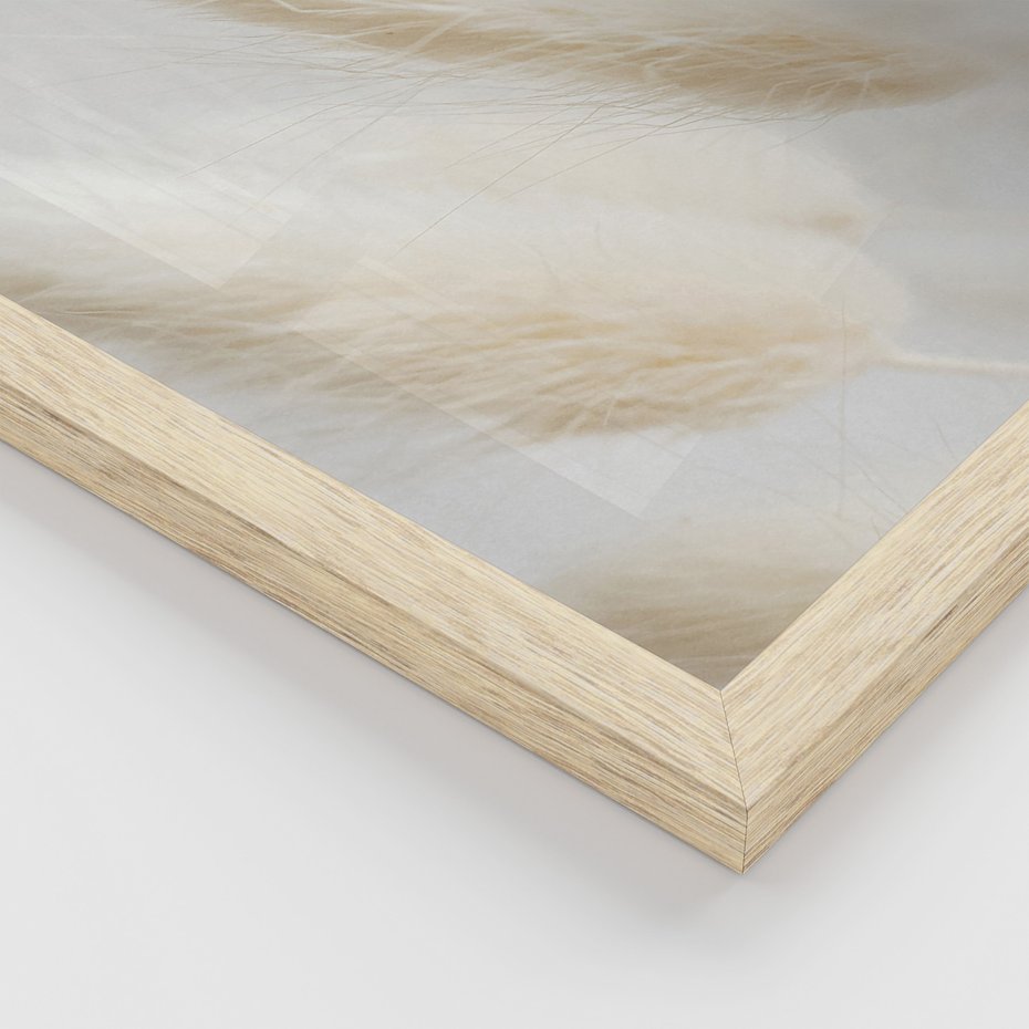 Zestaw obrazy w ramie, plakaty - bawełna, trawa, puszysty - rama drewno