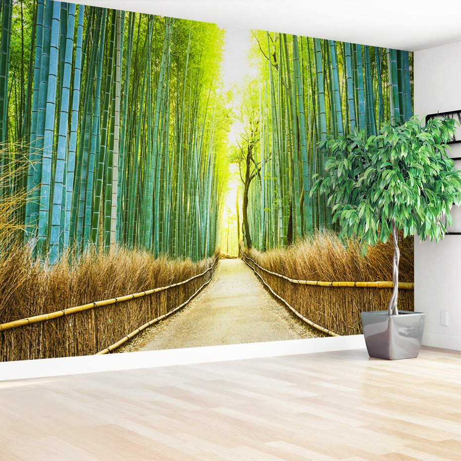 Fototapeta - bambus, las, ścieżka