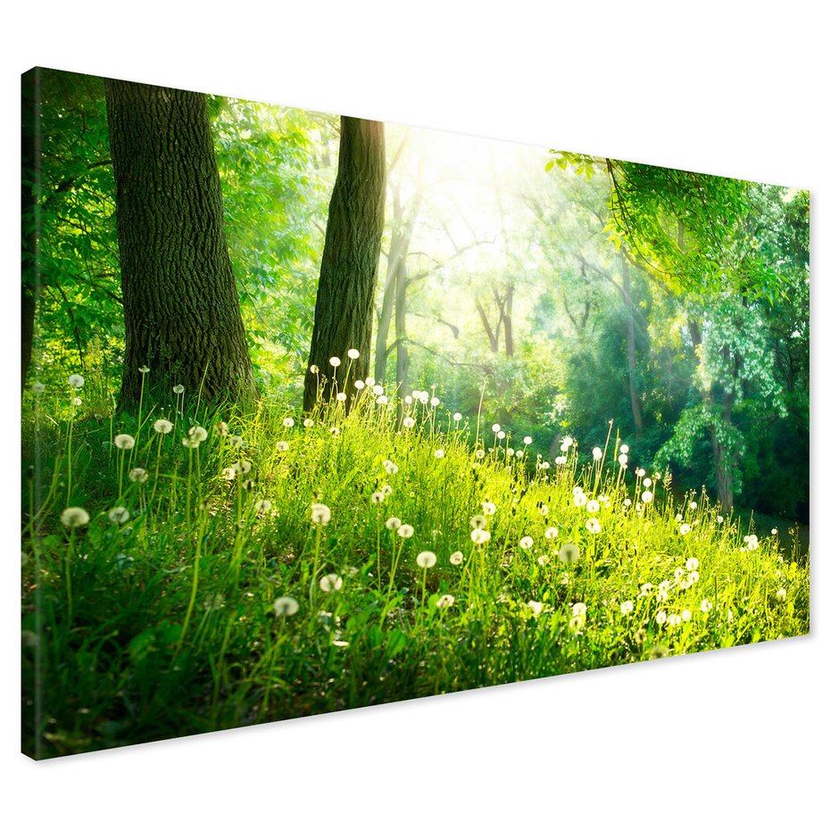 Obraz na płótnie - las, drzewa, natura