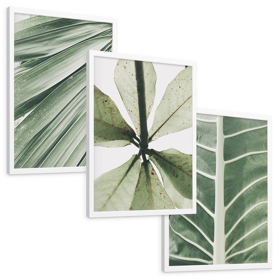 Zestaw obrazy w ramie, plakaty - liście, tropikalne, zielone - rama biała