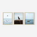 Zestaw obrazy w ramie, plakaty - ptaki, morze, łodzie - rama drewno