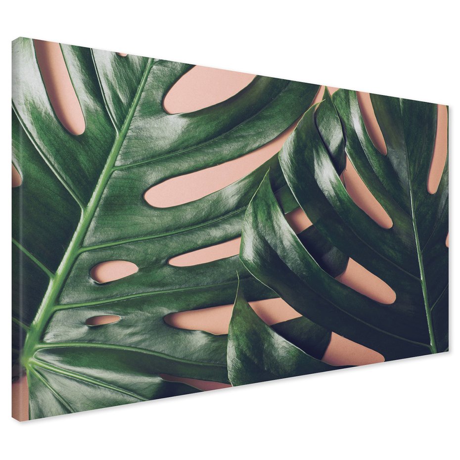 Obraz na płótnie - liście, monstera, roślina
