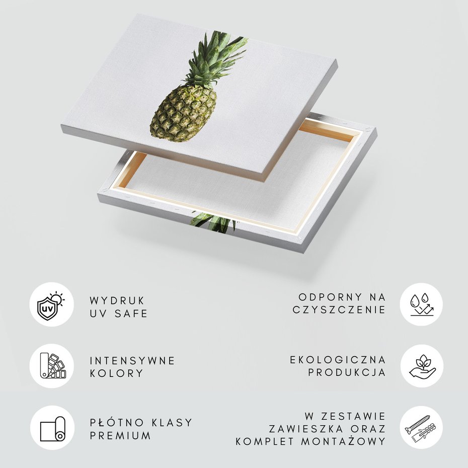 Obraz na płótnie - ananas, owoc, egzotyczny