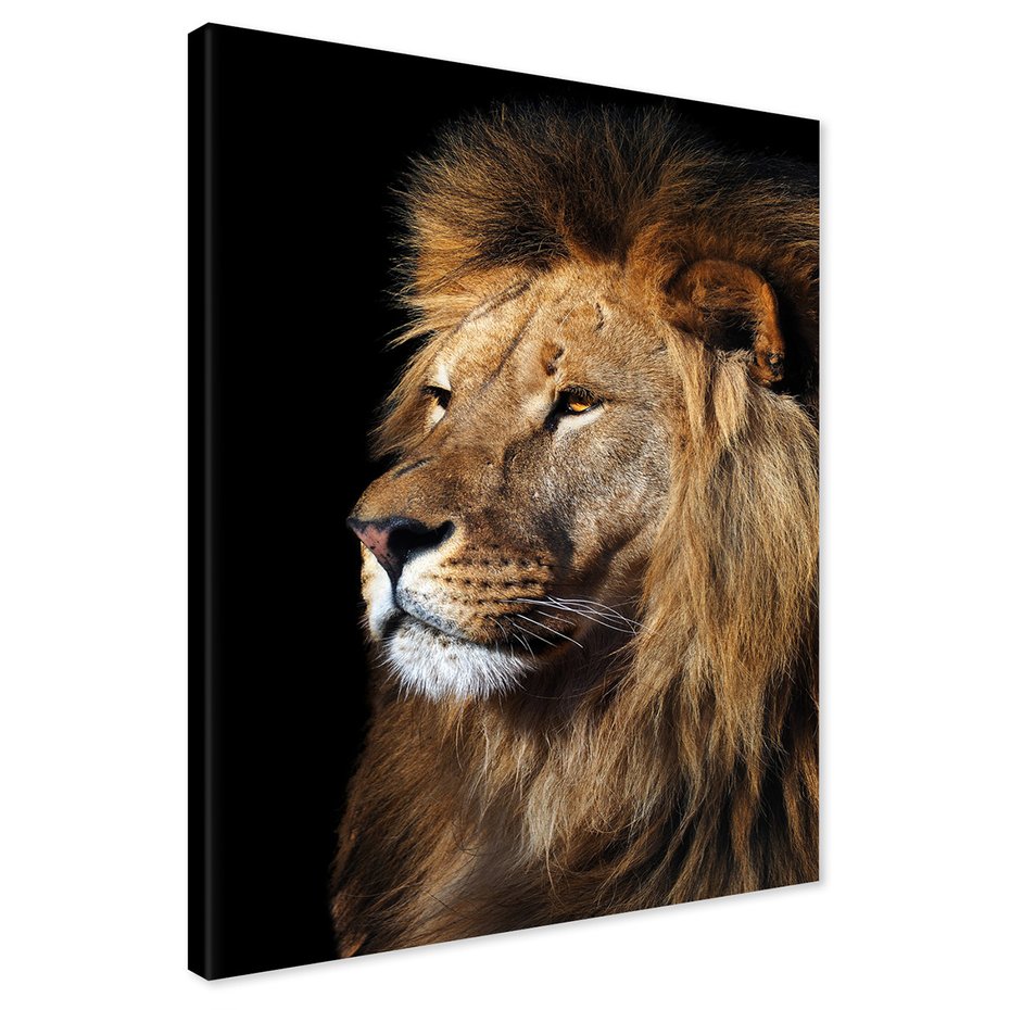 Obraz na płótnie - lew, portret, drapieżnik