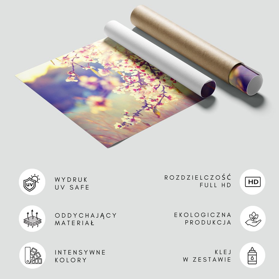 Fototapeta - kwiaty, wiosna, natura