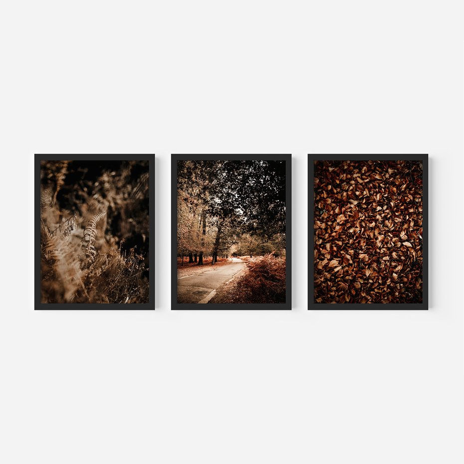 Zestaw obrazy w ramie, plakaty - jesień, liście, natura - rama czarna