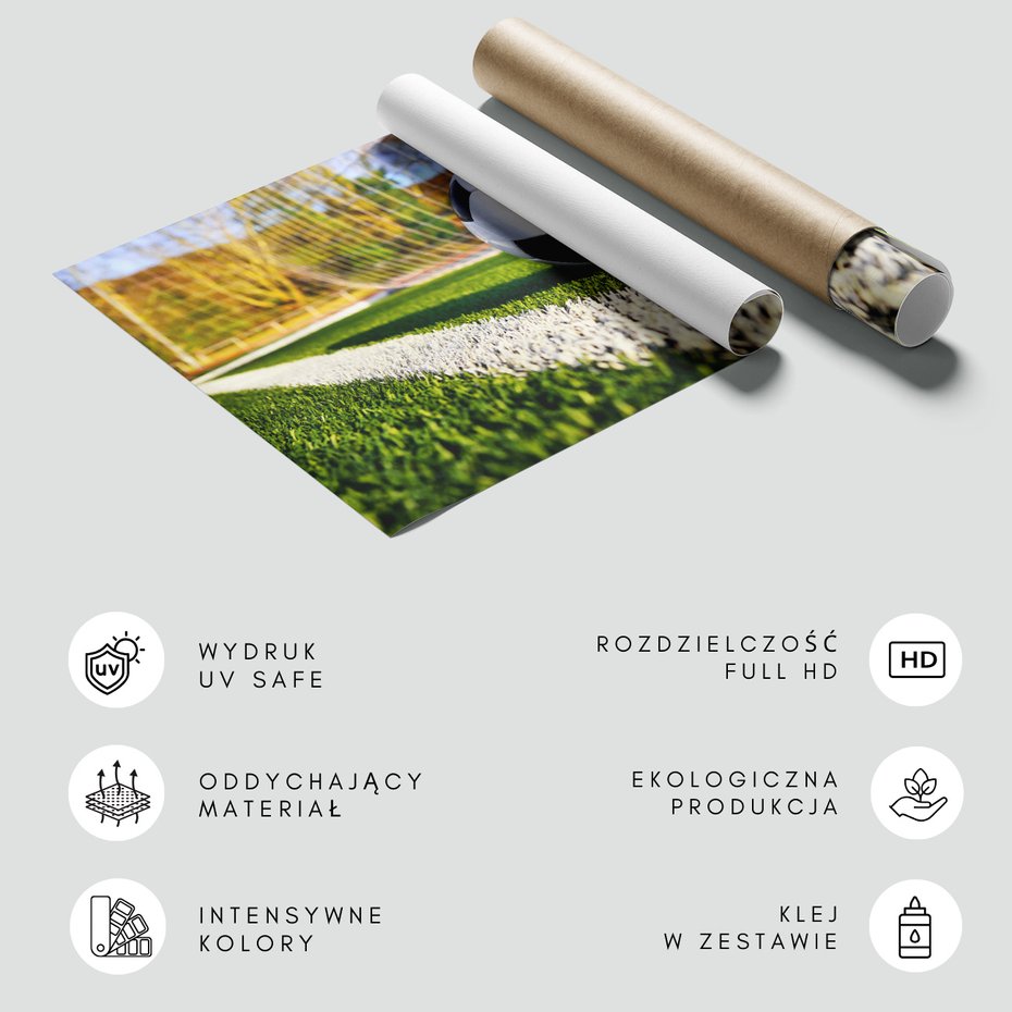 Fototapeta - piłka, boisko, sport