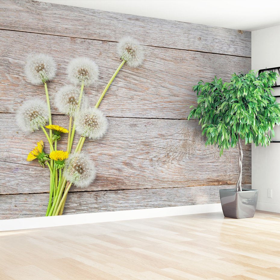 Fototapeta - dmuchawce, kwiaty, drewno