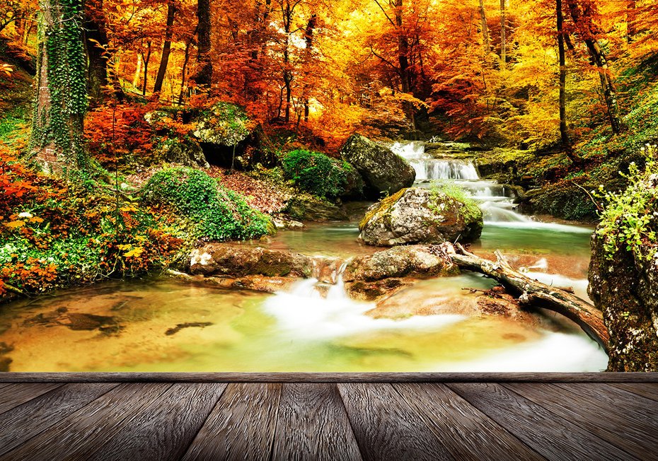 Fototapeta - jesień, las, wodospad
