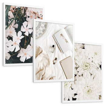 Zestaw obrazy w ramie, plakaty - kwiaty, biały, roślina - rama biała