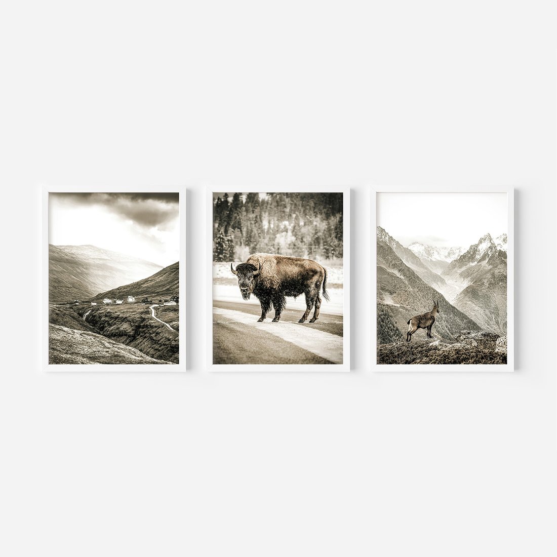 Zestaw obrazy w ramie, plakaty - krajobraz, zwierzę, góry - rama biała