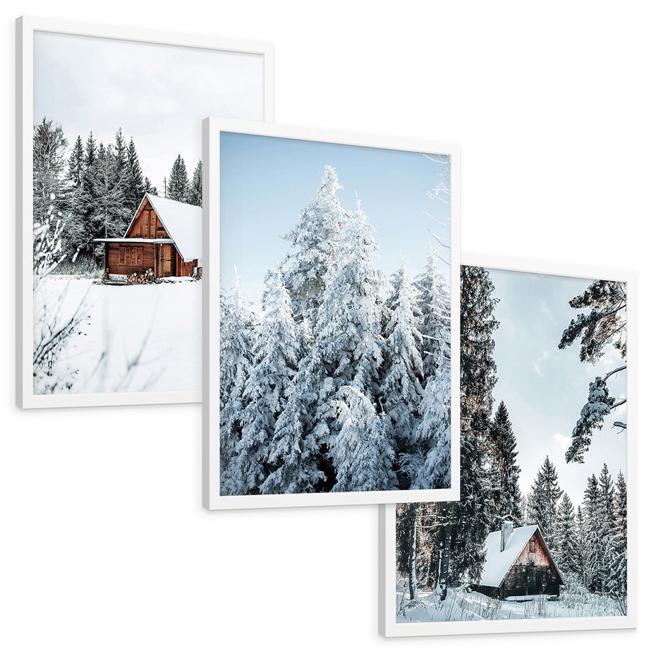 Zestaw obrazy w ramie, plakaty - zima, śnieg, drzewa - rama biała