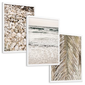 Zestaw obrazy w ramie, plakaty - muszle, morze, liście - rama biała