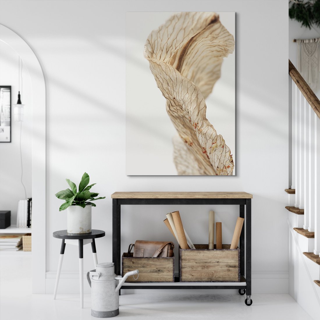 Obraz na płótnie - kwiat, suchy, abstrakcja