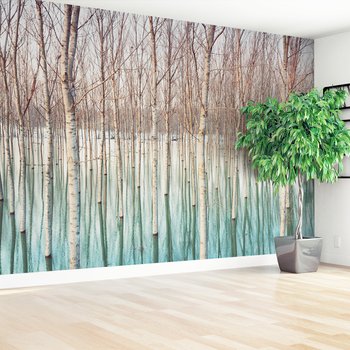 Fototapeta - drzewa, woda, las