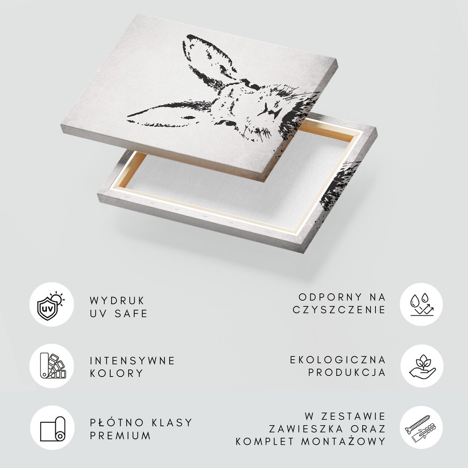 Obraz na płótnie - królik, zwierzę, portret