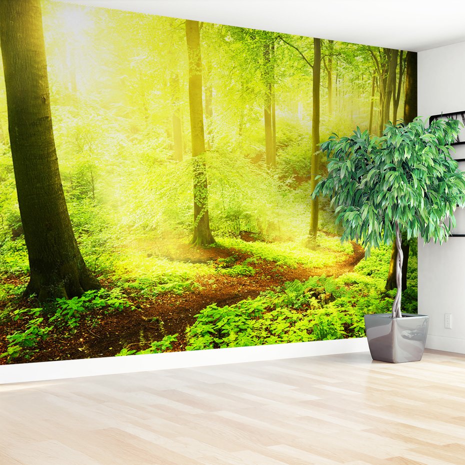 Fototapeta - las, drzewa, natura