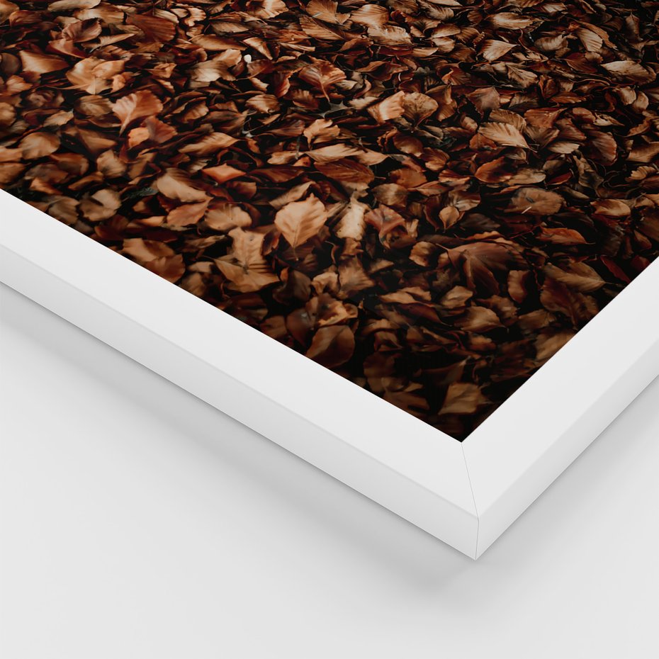 Zestaw obrazy w ramie, plakaty - liście, drzewa, jesień - rama biała