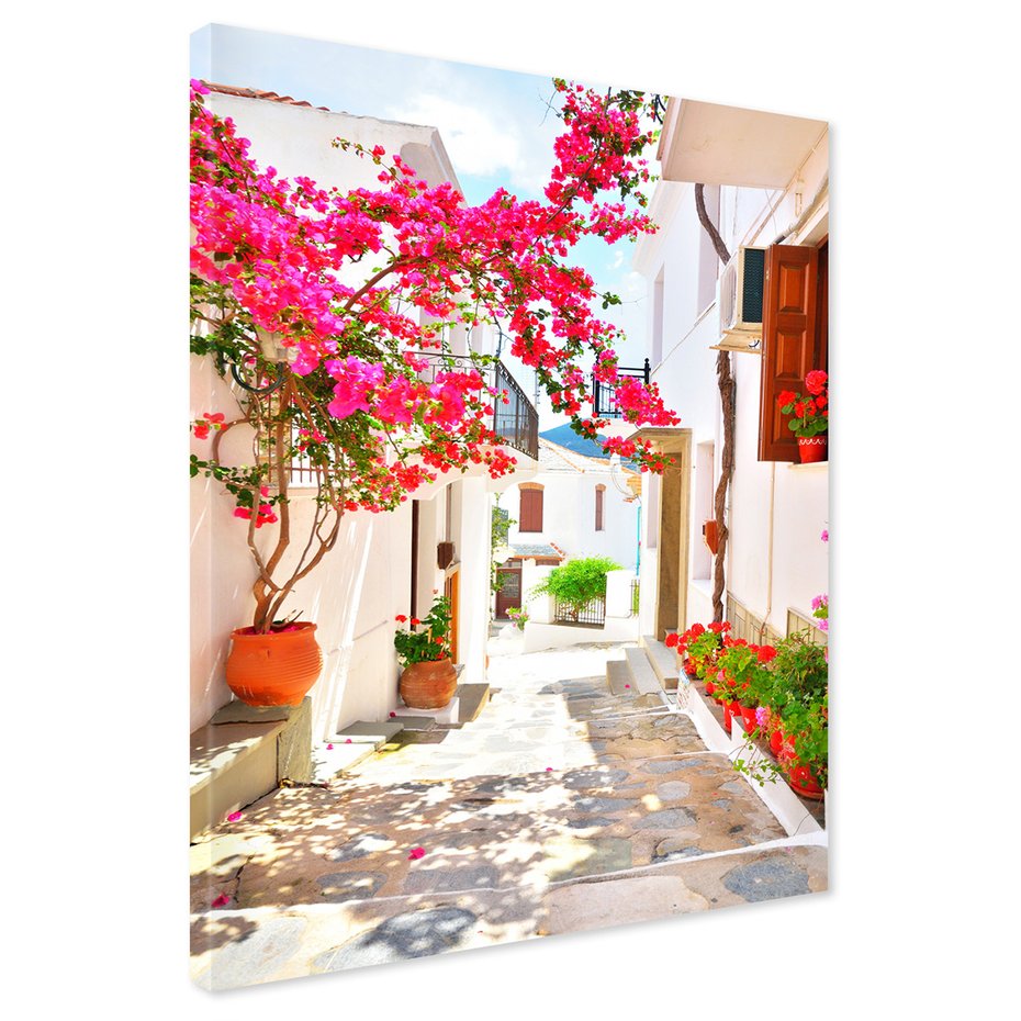 Obraz na płótnie - uliczka, kwiaty, białe budynki