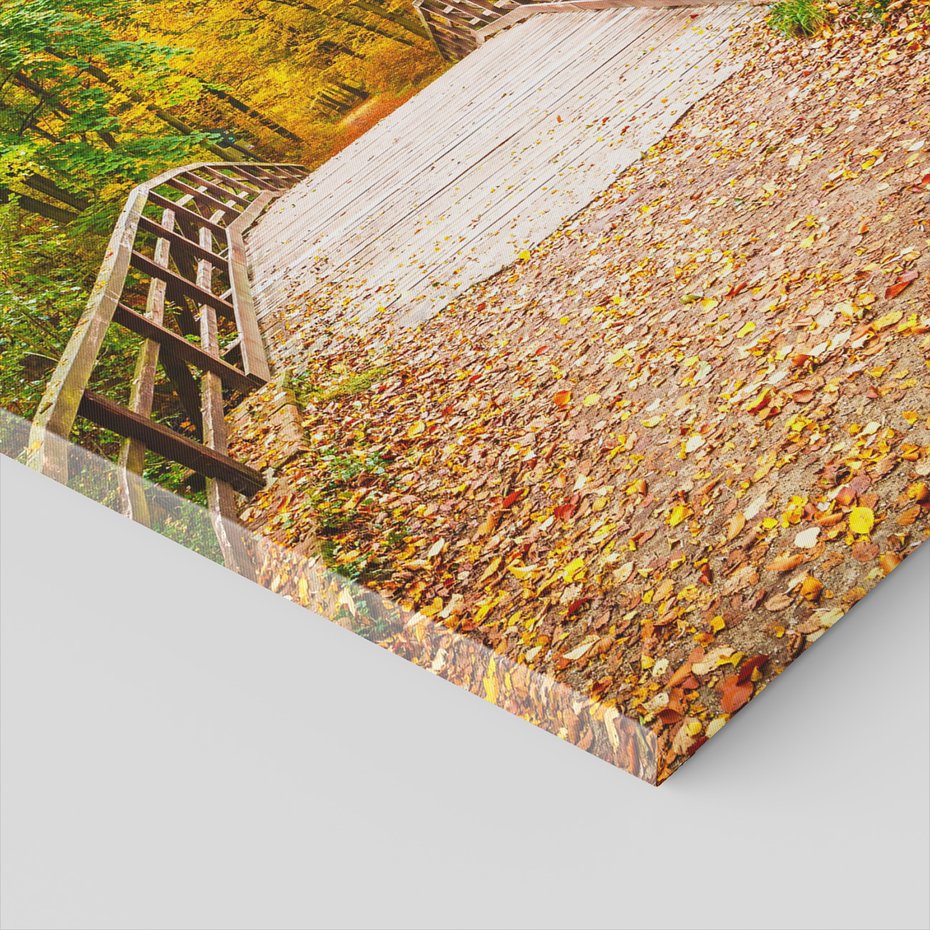 Obraz na płótnie - jesień, most, liście