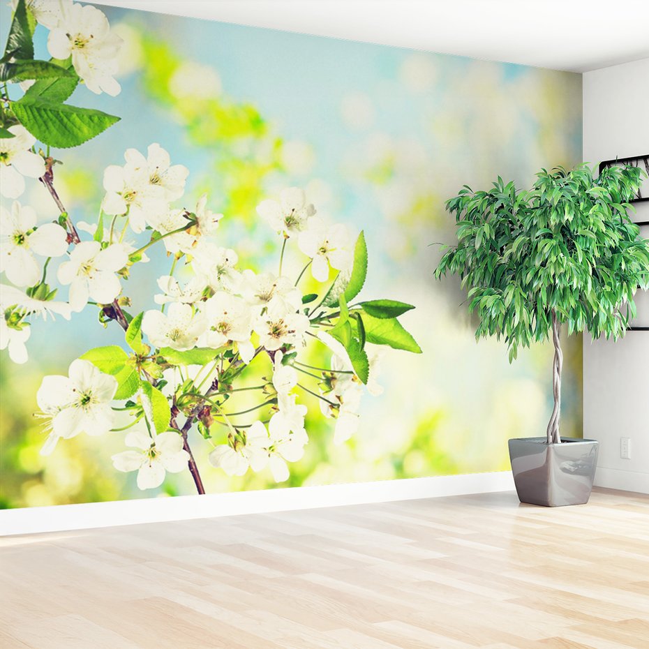 Fototapeta - kwiaty, wiosna, kwitnienie