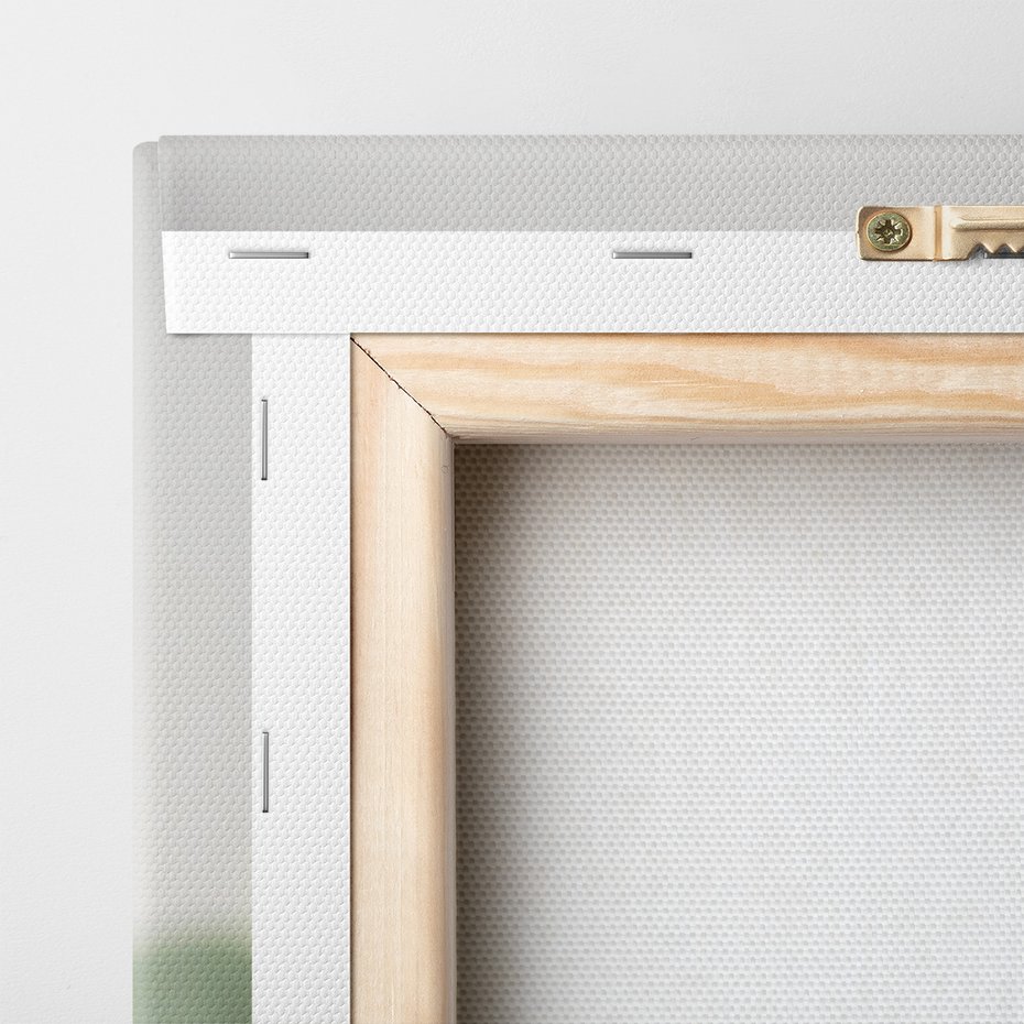 Obraz na płótnie - eukaliptus, liście, natura