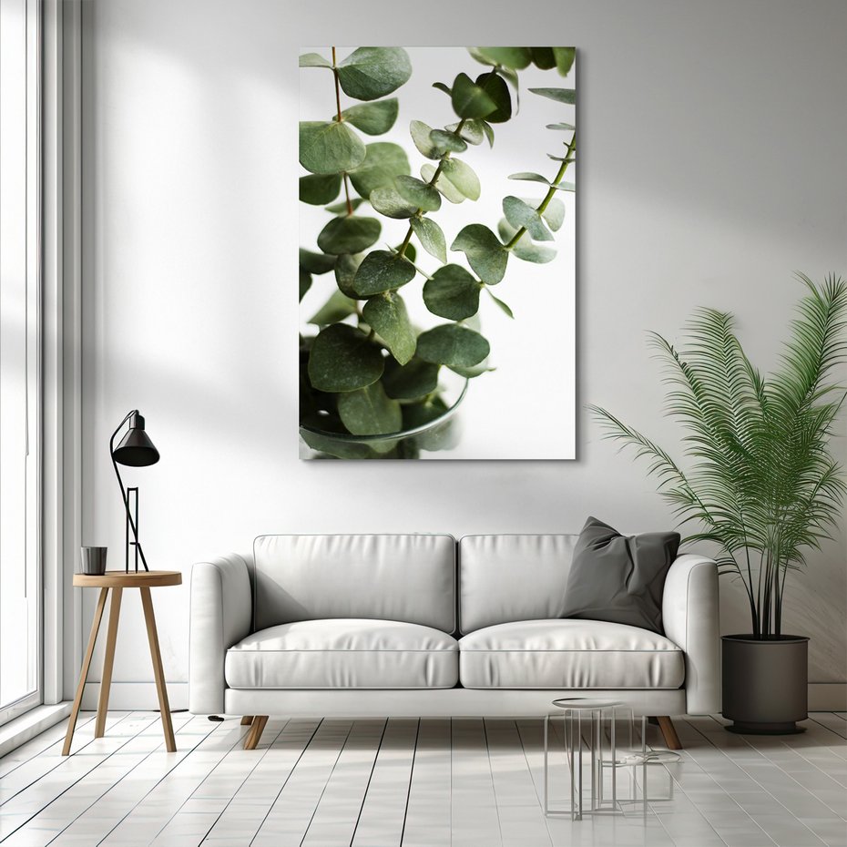 Obraz na płótnie - eukaliptus, liście, roślina