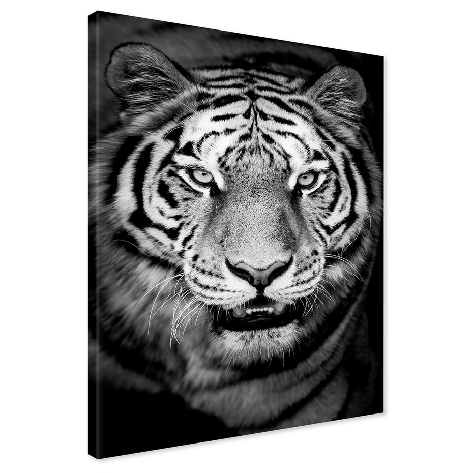 Obraz na płótnie - tygrys, zwierzę, drapieżnik