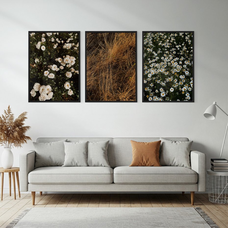 Zestaw obrazy w ramie, plakaty - kwiaty, rośliny, natura - rama czarna