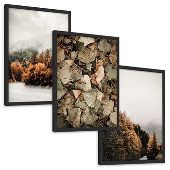Zestaw obrazy w ramie, plakaty - jesień, las, liście - rama czarna