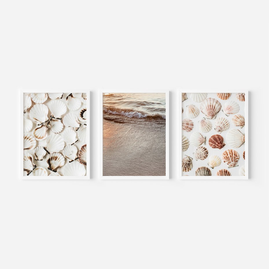 Zestaw obrazy w ramie, plakaty - muszle, plaża, woda - rama biała