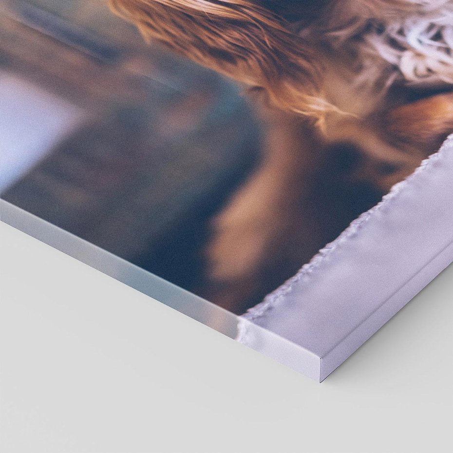 Obraz na płótnie - pies, portret, zwierzę